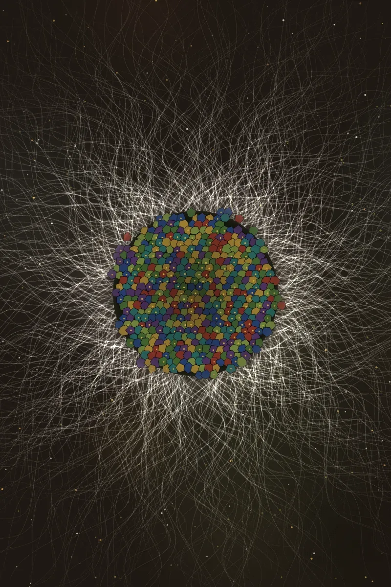 Anemone by Lumen & Logic