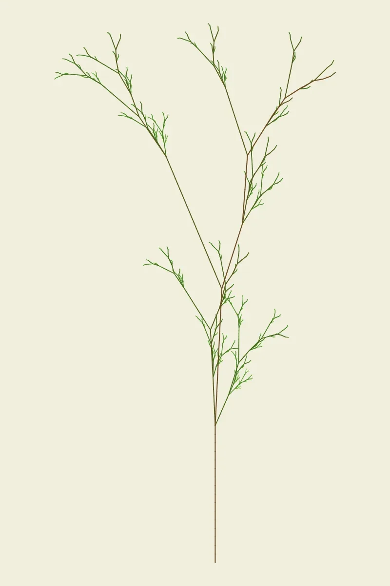 Botanical L-System by Lumen & Logic