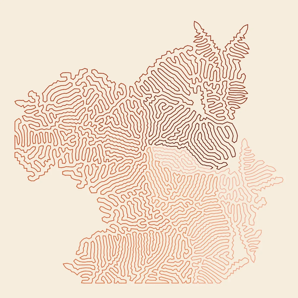 Differential Growth by Lumen & Logic