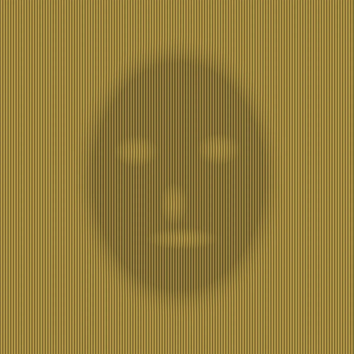 Face Moiré by Lumen & Logic