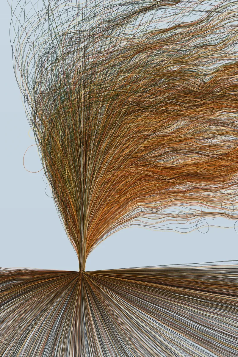 Gale Tree by Lumen & Logic