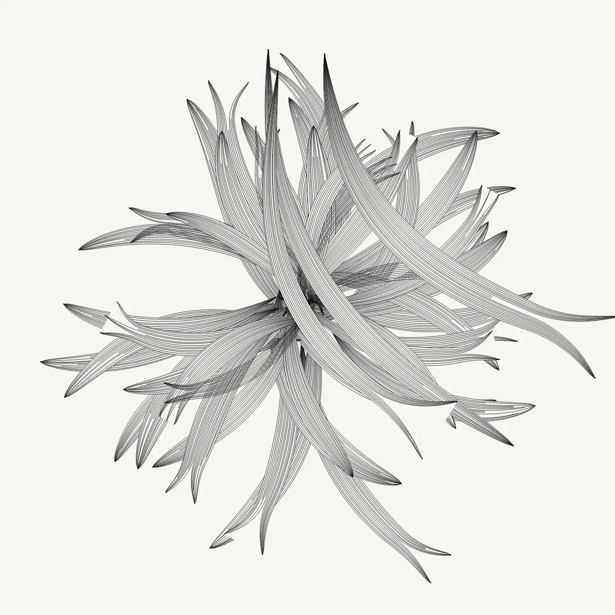 Ink Bloom by Lumen & Logic